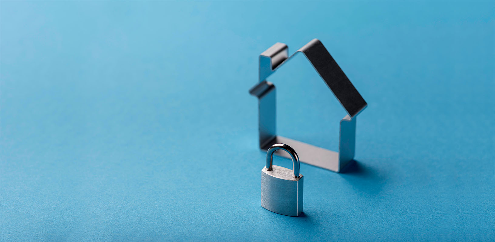 Protección y seguridad integral para hogares y negocios.